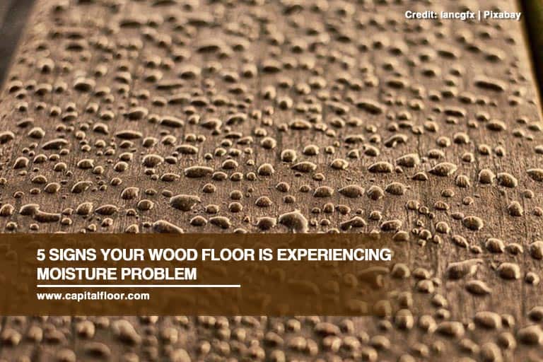 5 Signs Your Wood Floor Is Experiencing Moisture Problem