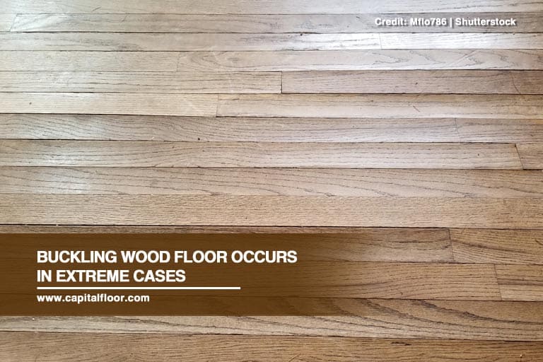 Buckling wood floor occurs in extreme cases