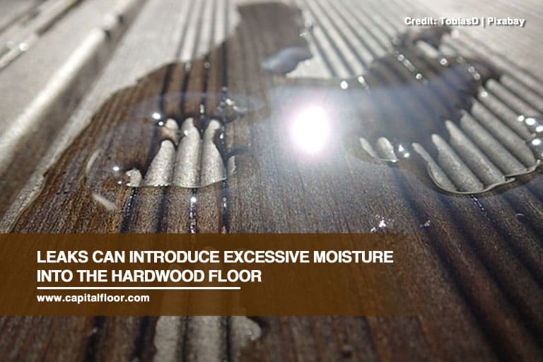 Leaks can introduce excessive moisture into the hardwood floor