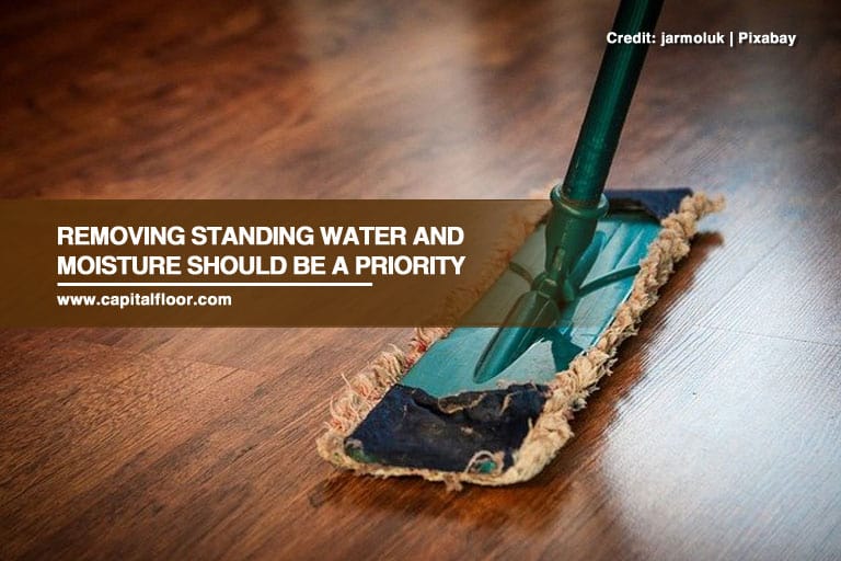 Removing standing water and moisture should be a priority