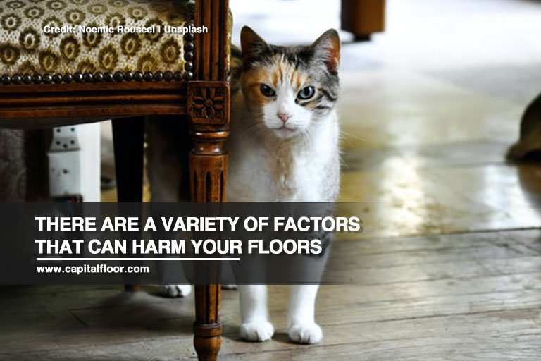 There are a variety of factors that can harm your floors