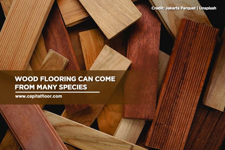 Wood flooring can come from many species