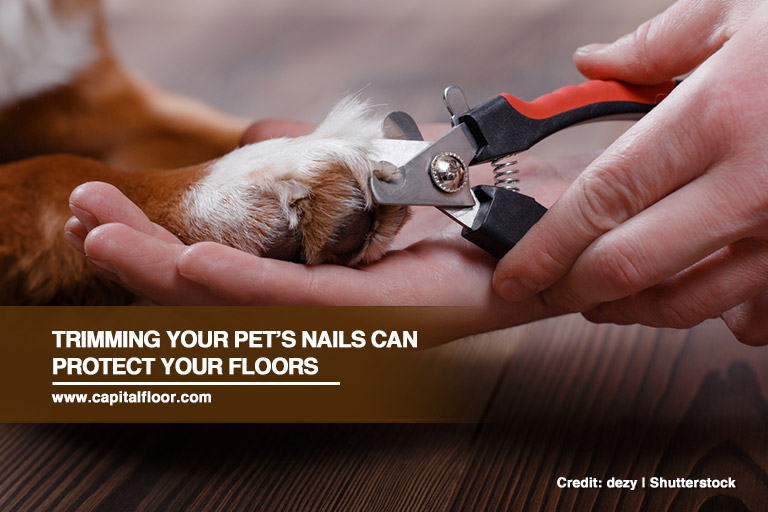 Trimming your pet’s nails can protect your floors