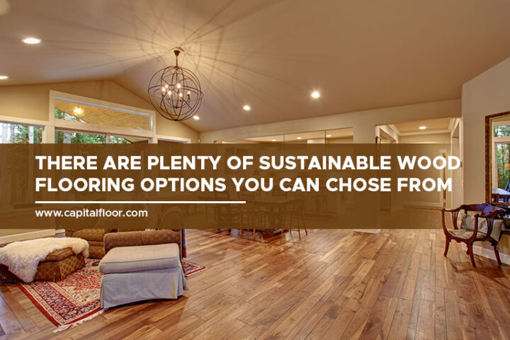 Image showcasing 6 Sustainable Flooring Options for Eco-Conscious Homeowners