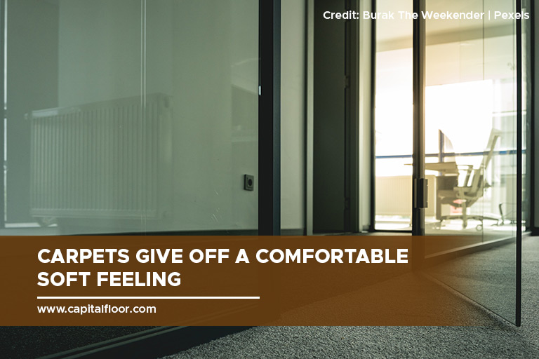 Carpet vs. Hardwood Which Is the Better Choice? Capital Hardwood