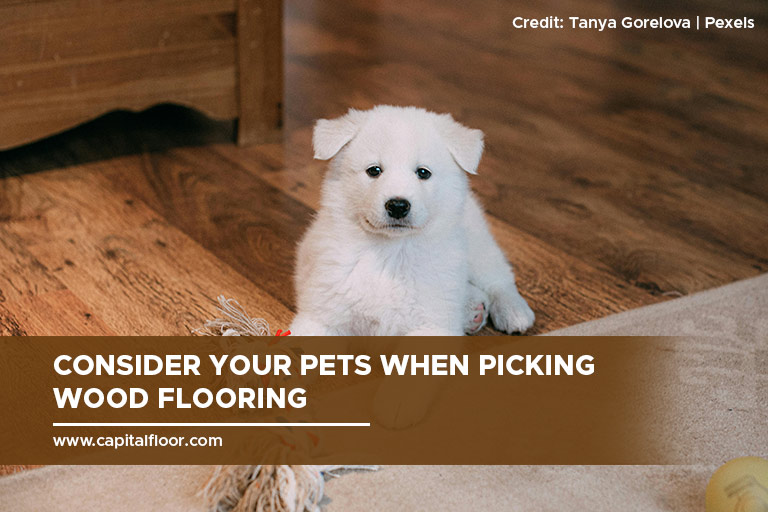 Consider your pets when picking wood flooring
