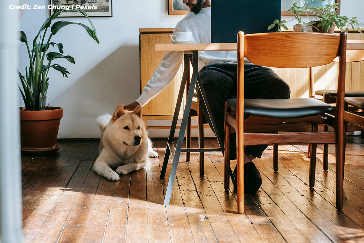Assessing-the-Damage-Is-It-a-DIY-Fix-or-a-Job-for-the-Pros