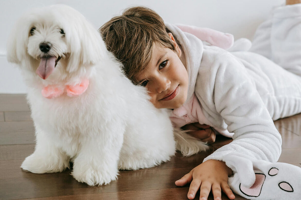 The Best Hardwood Floor Finishes for High-Traffic Areas