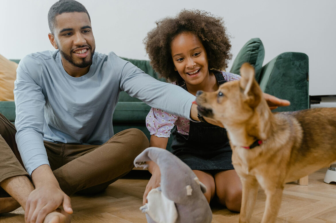 The Pros and Cons of Luxury Vinyl Tile for Pet Owners