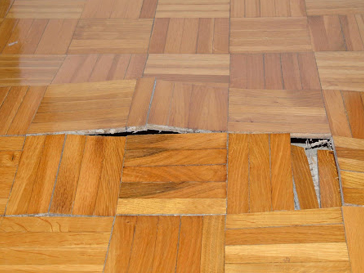 Let-an-expert-check-the-floor-and-subfloor-to-avoid-warping-and-buckling