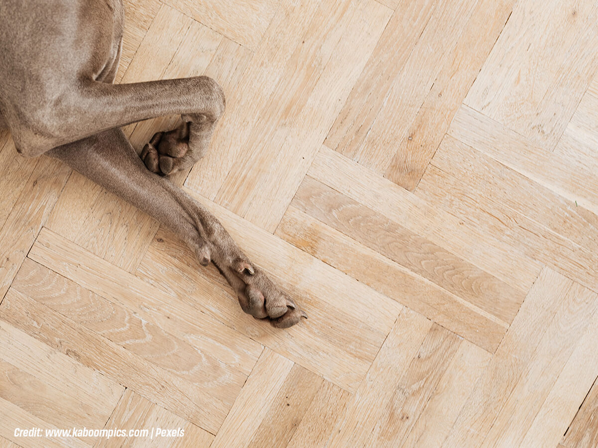 Dangerous-Subfloor-Issues